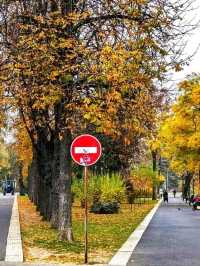 🌳 Stefan cel Mare Central Park – The Green Heart of Chișinău