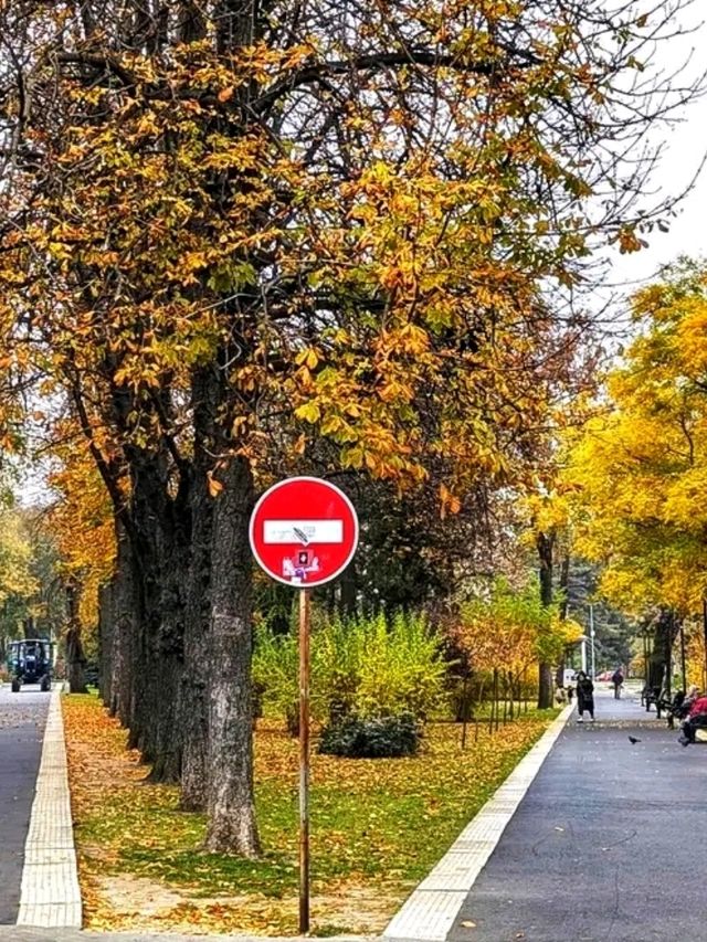 🌳 Stefan cel Mare Central Park – The Green Heart of Chișinău