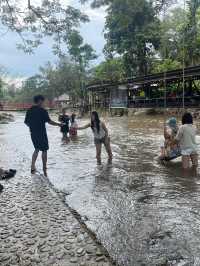 ปางแฟน Rock n’River 