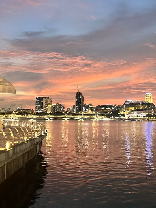 獅城新體驗 ~ 新加坡🌿