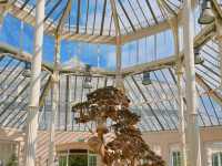 어여쁜 수련이 가득한🌺 영국 큐가든 워터릴리 하우스