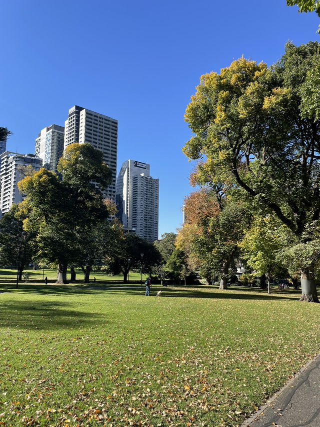 Flagstaff Gardens Flagstaff Gardens