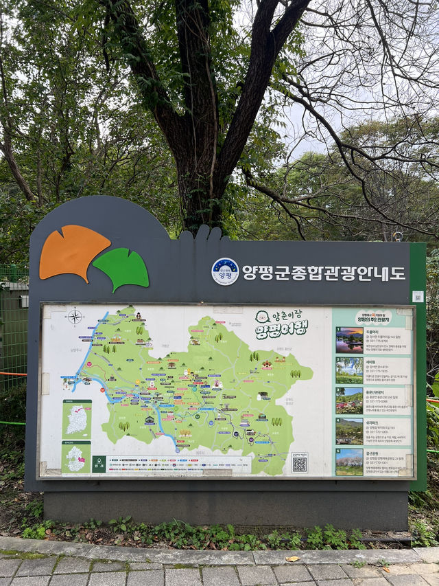 양평 용문산으로 떠난 여행🍵