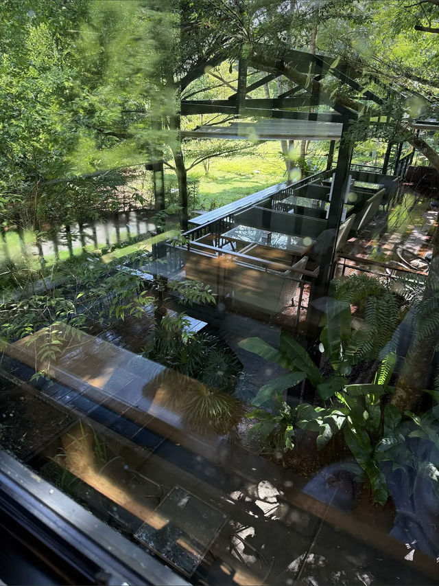 คาเฟ่กลางหุบเขากระบี่ 🌳🌳