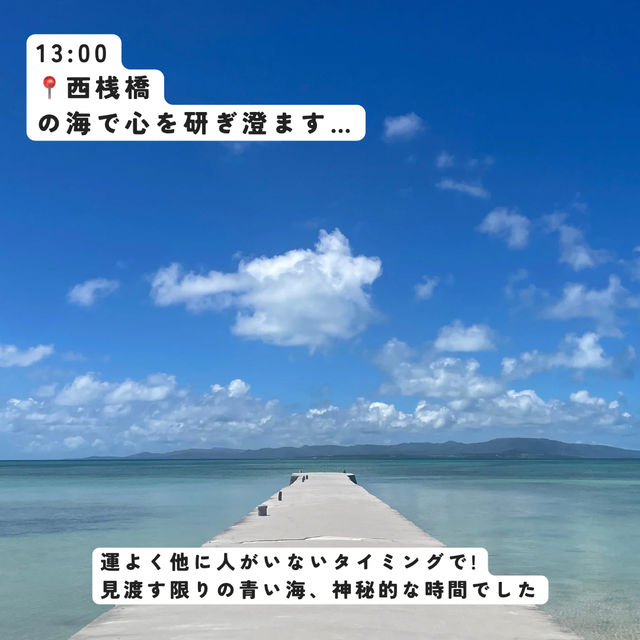 【沖縄】日帰り竹富島の1日🏖️