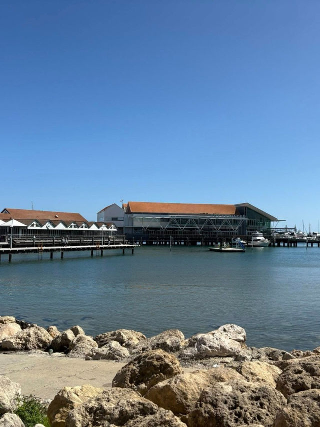 Seaside Charm : Hillary's Boat Harbour in Perth