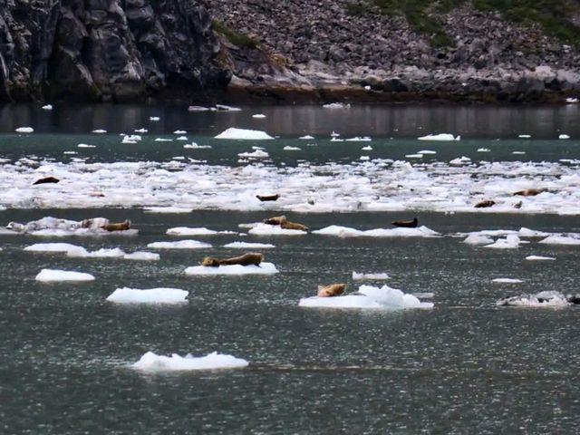❄️ Glacier Bay National Park – Alaska’s Living Ice Kingdom
