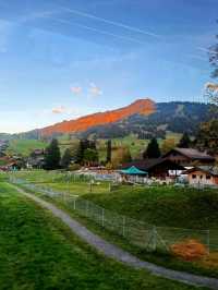Traditional wooden chalets