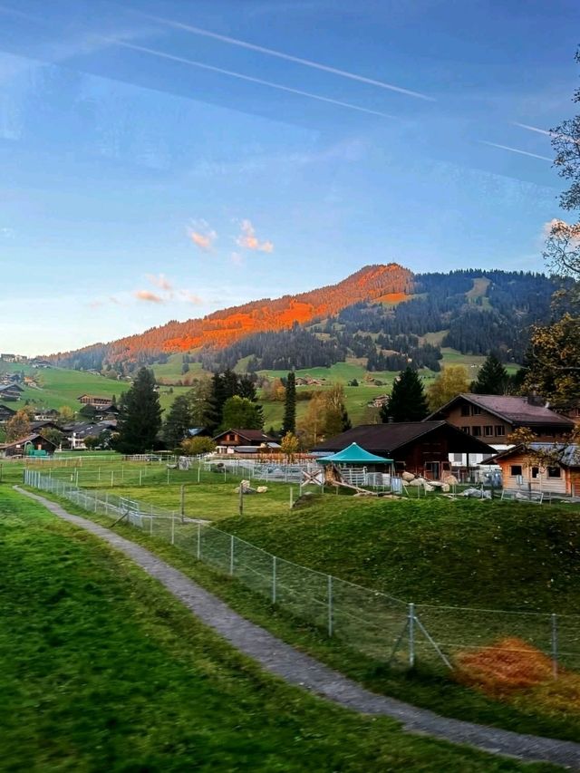 Traditional wooden chalets