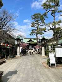 SAKURA JINGU.