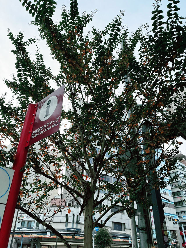 Asakusa: Must-Visit Destination with SkyTree Views and Vibrant Streets