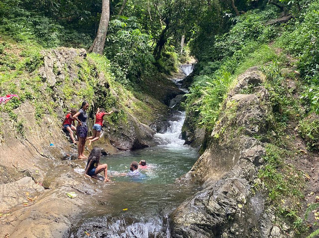 Waitavala Natural Rock Waterslide
