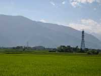 🌾 2025漫遊縱谷 愛在花東・台東篇 🌾