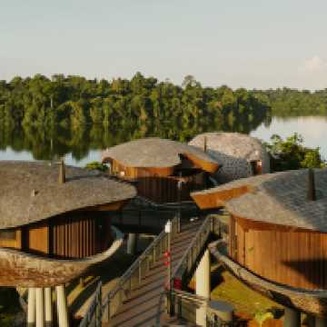 Whispers of the Wild