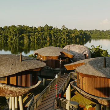 Whispers of the Wild Whispers of the Wild