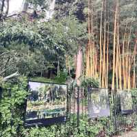 A Jungle in the Mediterranean: Family Adventure at Val Rahmeh Garden