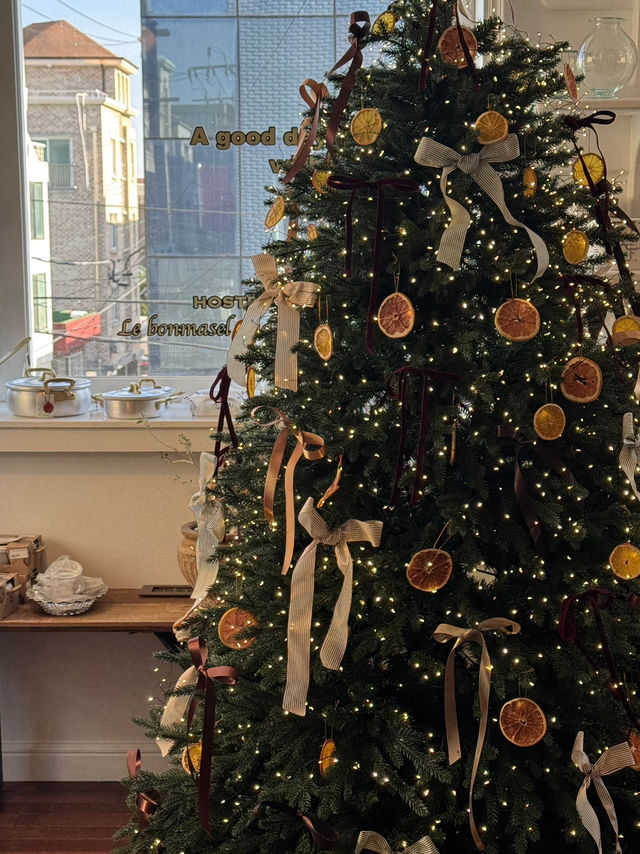 겨울 강릉 여행 🫧