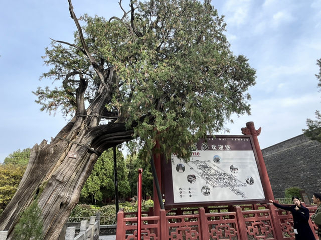 Why Dai Temple Is So Important