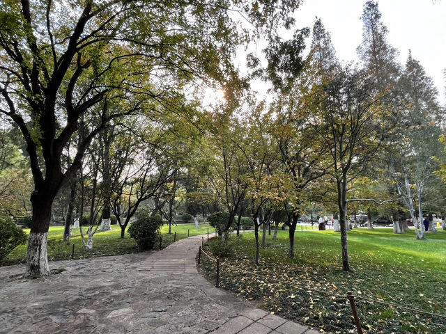 🌿 Jinan Wulongtan Park | The Easiest & Most Efficient Way to Explore 🌿 Jinan Wulongtan Park | The Easiest & Most Efficient Way to Explore