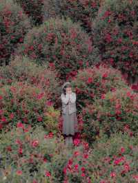 ์ ์ฃผ ๋๋ฐฑ ํ์๋ก ๊ฐ์ผํ๋ ๊ณณ๐บ