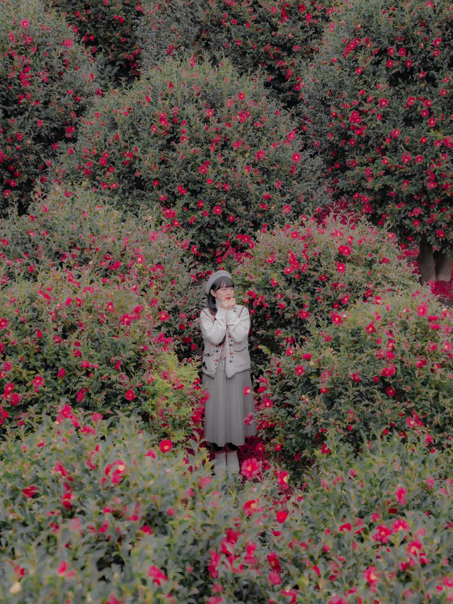 ์ ์ฃผ ๋๋ฐฑ ํ์๋ก ๊ฐ์ผํ๋ ๊ณณ๐บ ์ ์ฃผ ๋๋ฐฑ ํ์๋ก ๊ฐ์ผํ๋ ๊ณณ๐บ