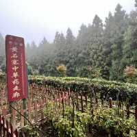 Zhangjiajie — A Landscape So Magnificent It Feels Almost Unreal (张家界)