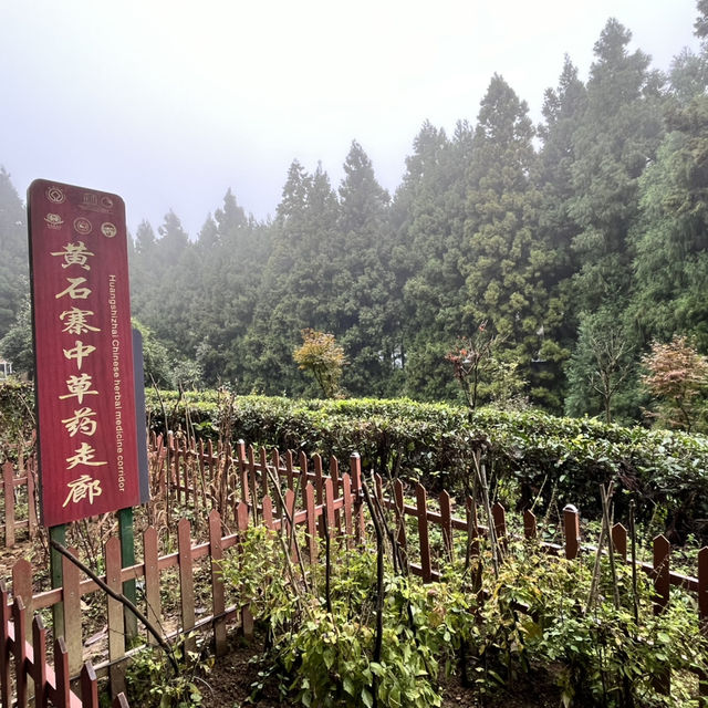 Zhangjiajie — A Landscape So Magnificent It Feels Almost Unreal (张家界) Zhangjiajie — A Landscape So Magnificent It Feels Almost Unreal (张家界)