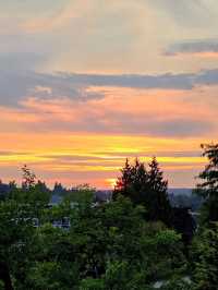 Queen Elizabeth Park