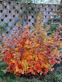 자연의 아름다움을 깊게 느낄 수 있는 곳