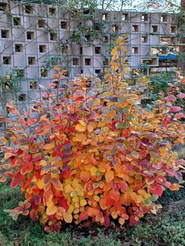 자연의 아름다움을 깊게 느낄 수 있는 곳 자연의 아름다움을 깊게 느낄 수 있는 곳