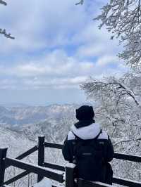 🇰🇷3도의 경계에 위치한 겨울 명산 민주지산 트래킹 코스