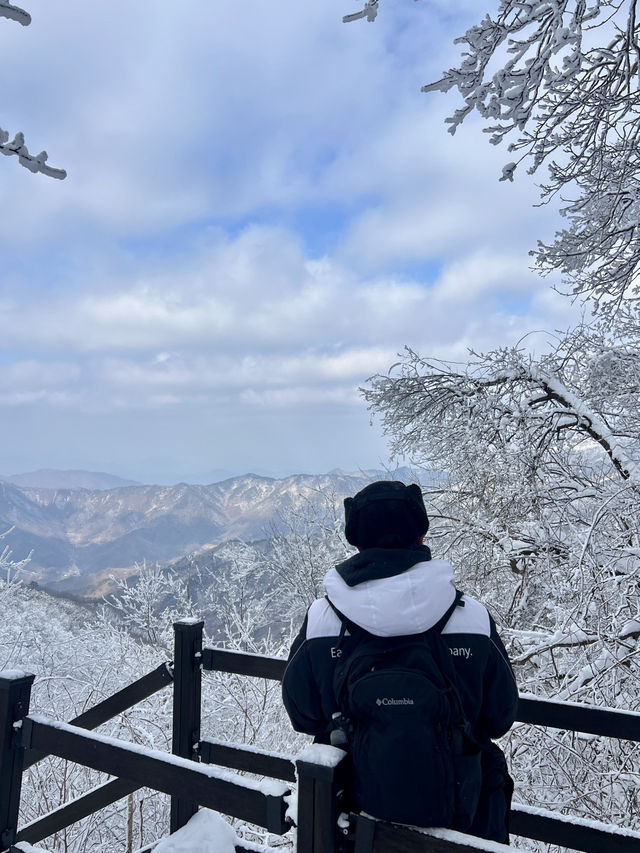 🇰🇷3도의 경계에 위치한 겨울 명산 민주지산 트래킹 코스 🇰🇷3도의 경계에 위치한 겨울 명산 민주지산 트래킹 코스