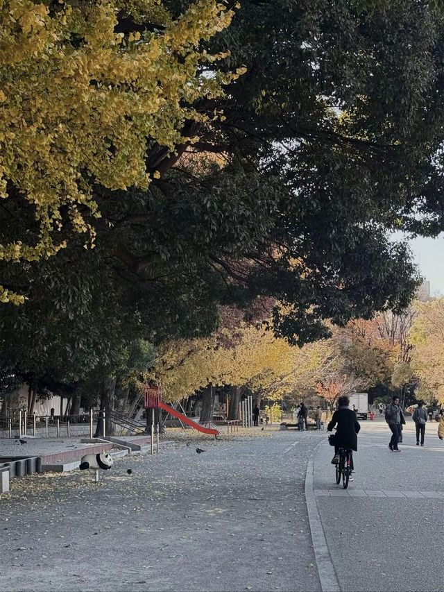 Tokyo’s Ueno Park: Autumn Feels & Family Vibes 🍁✨ Tokyo’s Ueno Park: Autumn Feels & Family Vibes 🍁✨