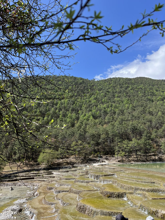 Blue Moon Valley Blue Moon Valley