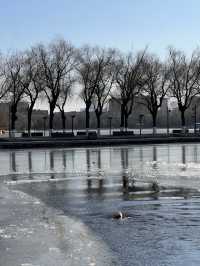 🇨🇳 선양 시민들의 휴식처 북릉공원