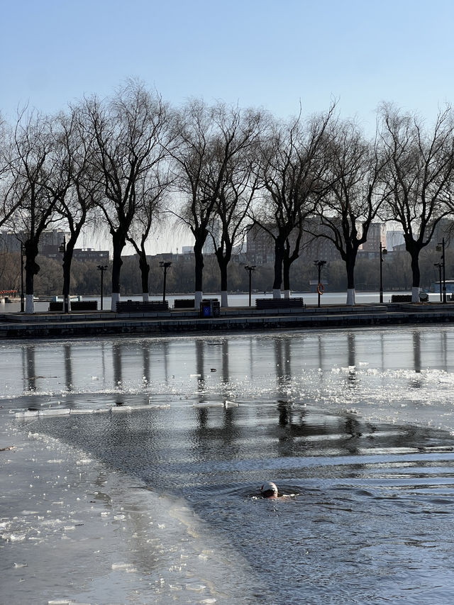 🇨🇳 선양 시민들의 휴식처 북릉공원 🇨🇳 선양 시민들의 휴식처 북릉공원