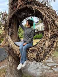 《雲河星空景觀餐廳|夜景、美拍、盪鞦韆一次滿足的浪漫景點!