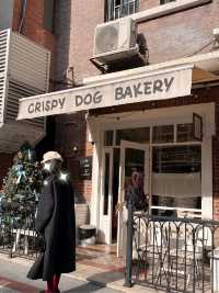 🐶🥯✨ Crispy Dog Bakery — คาเฟ่เบเกิลสุดคิวต์