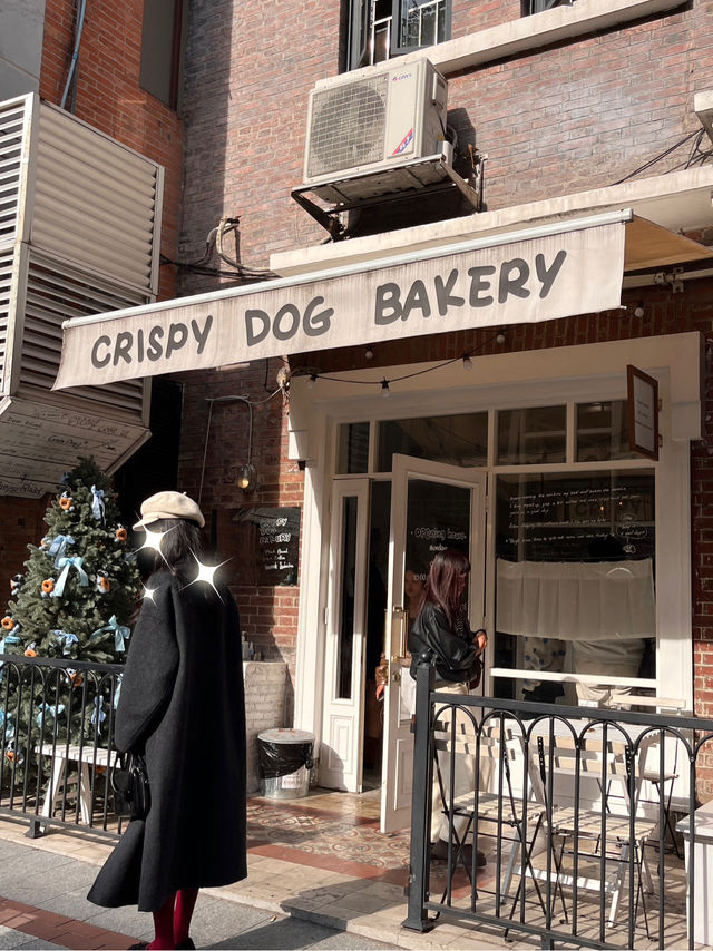 🐶🥯✨ Crispy Dog Bakery — คาเฟ่เบเกิลสุดคิวต์