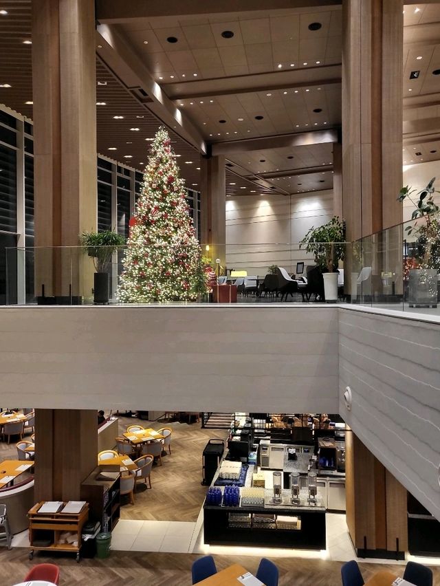 12월에 가장 빛나는 경주여행코스 12월에 가장 빛나는 경주여행코스