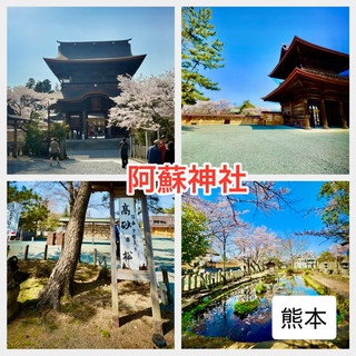 Enjoy Aso Shrine and the temple town