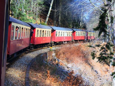 SL機関車で魔女伝説の山へ】ドイツ ブロッケン山 | Trip.com