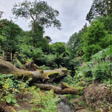 失落的赫利根花園