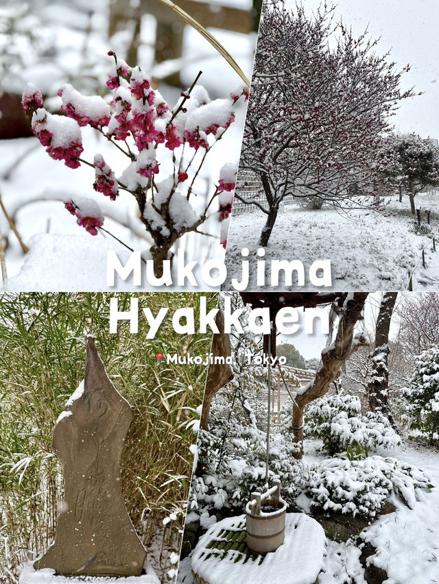 A Living Ink Painting in Winter White