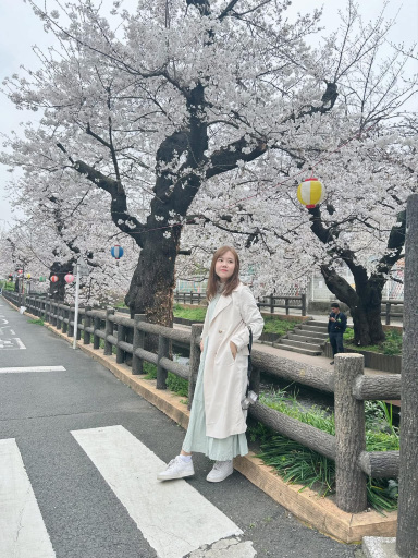 Shukugawara Nigaryo Waterway Cherry Blossom | Trip.com Kawasaki City