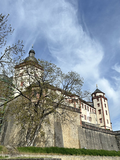 1mi6v224x994p832916A5_Q90.jpg?