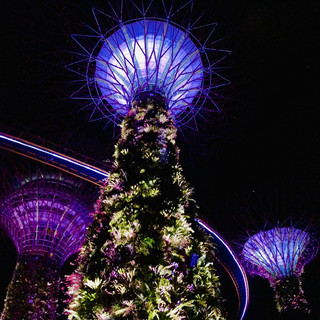 🌃 Singapore at Night: Where the City Truly Comes Alive 🇸🇬✨