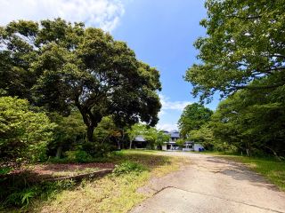 你會想造訪一個幾乎沒人提起的神社嗎？位於相生之上的隱藏寶石 