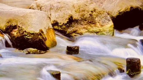 Russia Altai Republic Chemal Mossy Katun River Forest Parkeasytravelpost #Chemal #KatunRiver #Altai — traveler post in Porec