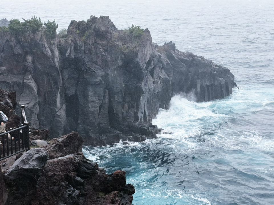 Shizuoka, Izu | Black sea cliffs carved by lava flows from Mount